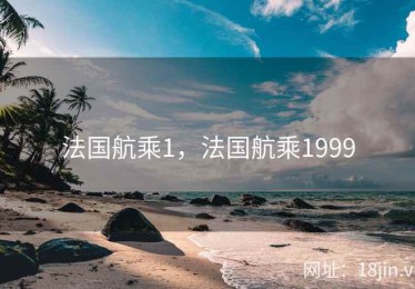 法国航乘1，法国航乘1999