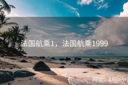 法国航乘1，法国航乘1999
