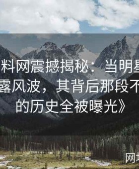 《51黑料网震撼揭秘：当明星遭遇私生活泄露风波，其背后那段不堪回首的历史全被曝光》