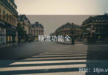 糖流功能全