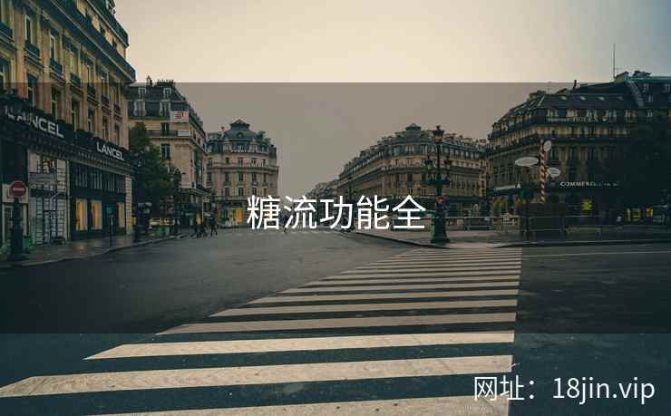 糖流功能全